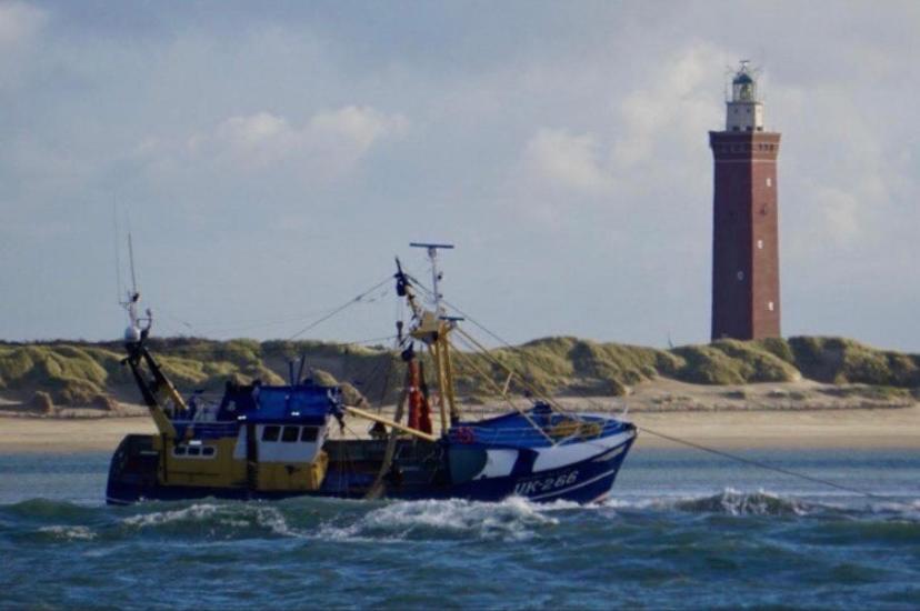 Caravan Stadstuin Goedereede Let Op De Badkamer Moet Met Andere Gasten Gedeeld Worden Buitenkant foto