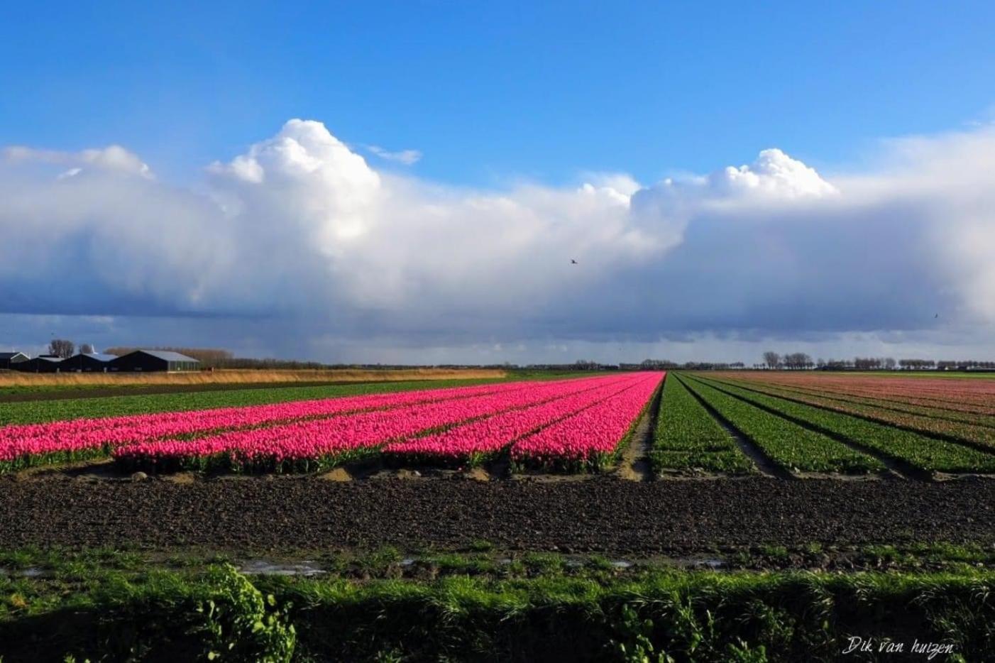 Caravan Stadstuin Goedereede Let Op De Badkamer Moet Met Andere Gasten Gedeeld Worden Buitenkant foto